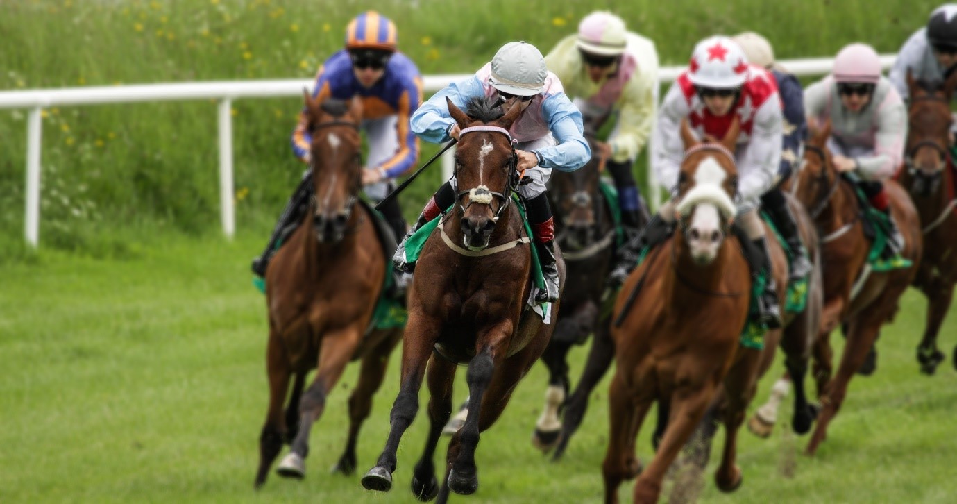 Cheltenham Festival: The competition between Shishkin and Energumene could well carry over from Ascot Cheltenham Festival: The competition between Shishkin and Energumene could well carry over from Ascot