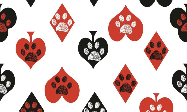 Cats vs dogs — which furry friend will prevail in these Slots? Cats vs dogs — which furry friend will prevail in these Slots?