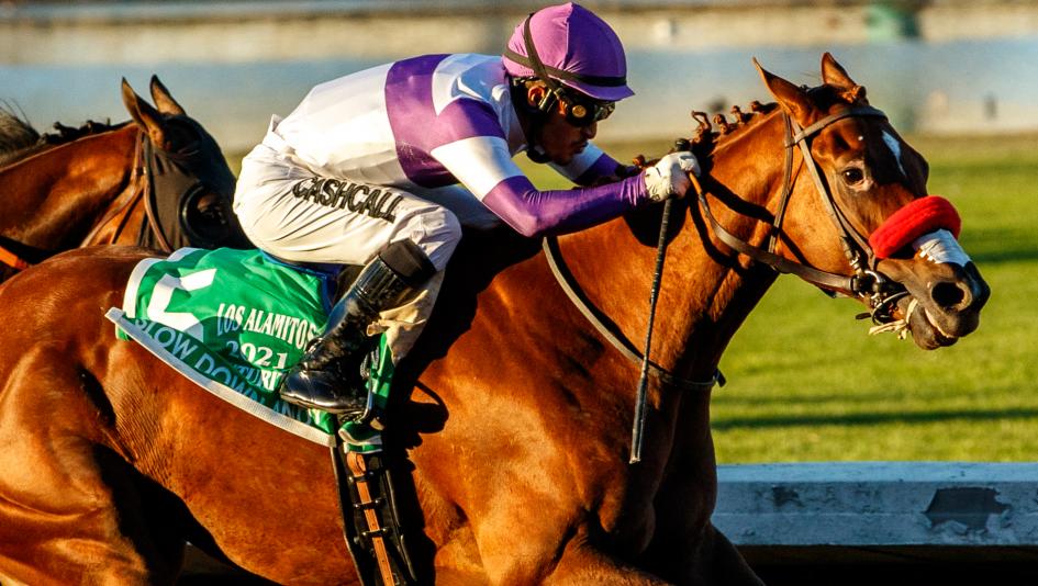 Who Are The Top Contenders At The Kentucky Derby 2022?