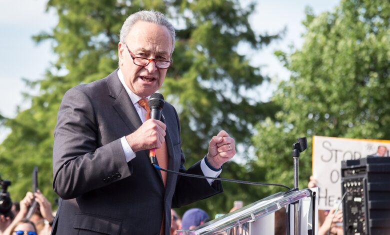 Maine Race Shake-Up Sparks Democratic Doubts About Schumer’s Strategy